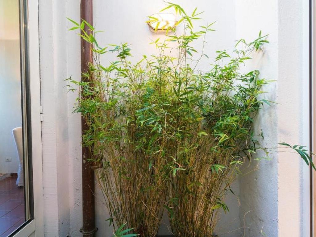 Lejlighed Garibaldi Roof Garden